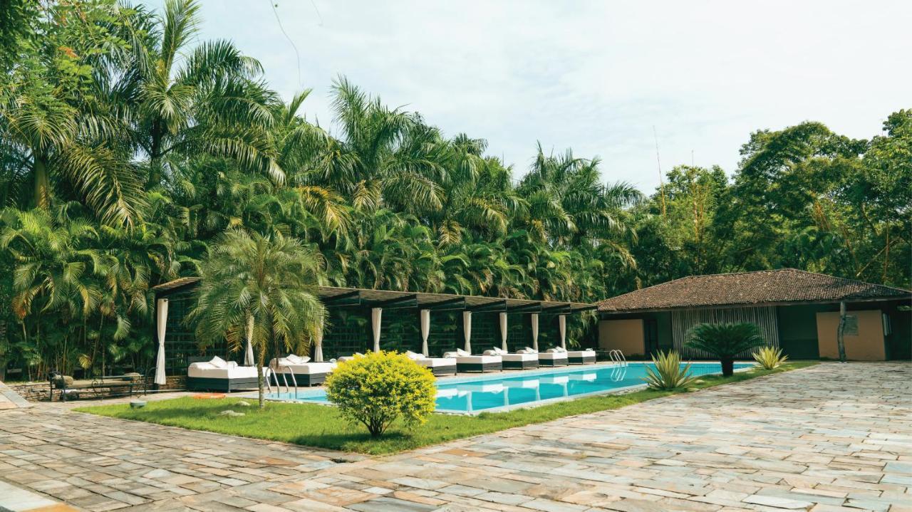 Hotel Kasara Chitwan Patlahara Zewnętrze zdjęcie